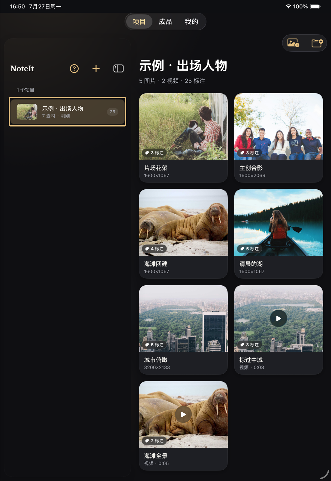 Annotate 在 iPad 上的分栏界面